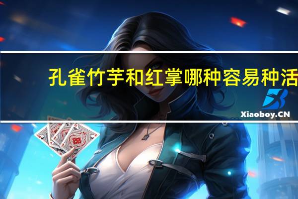 孔雀竹芋和红掌哪种容易种活