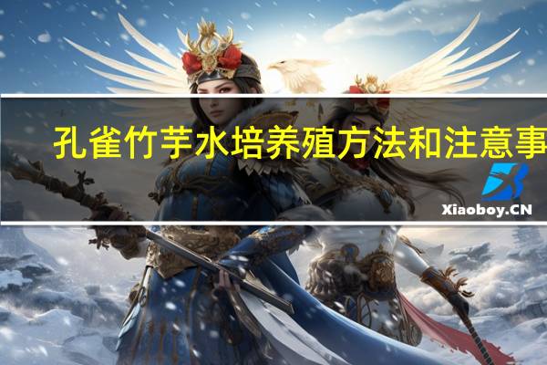 孔雀竹芋水培养殖方法和注意事项