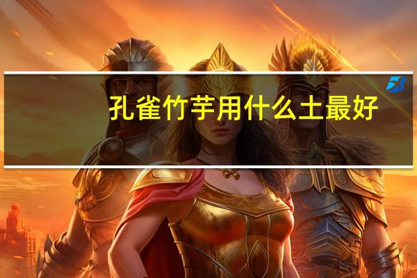 孔雀竹芋用什么土最好