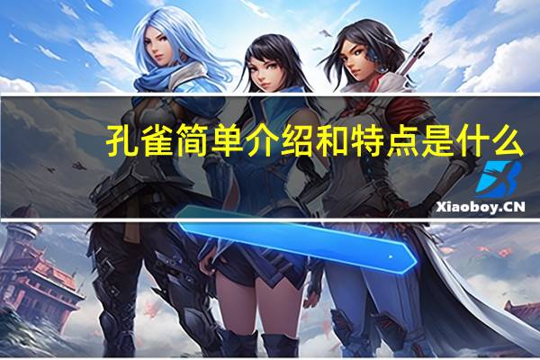孔雀简单介绍和特点是什么