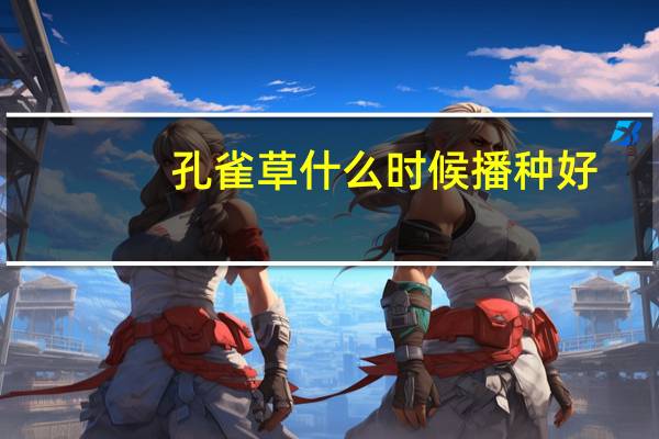 孔雀草什么时候播种好