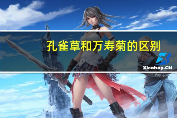 孔雀草和万寿菊的区别