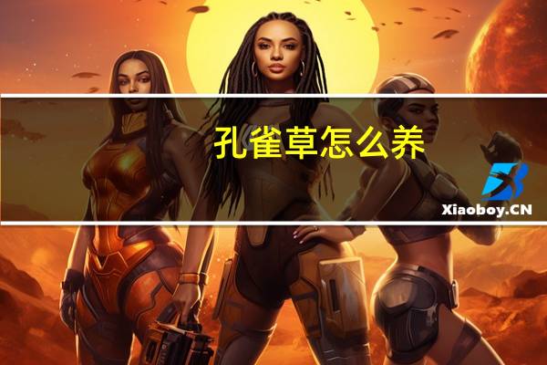 孔雀草怎么养
