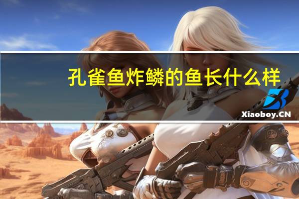 孔雀鱼炸鳞的鱼长什么样