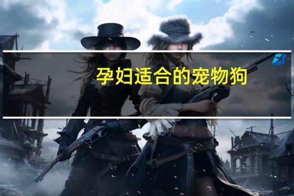 孕妇适合的宠物狗