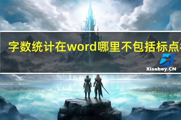 字数统计在word哪里不包括标点符号
