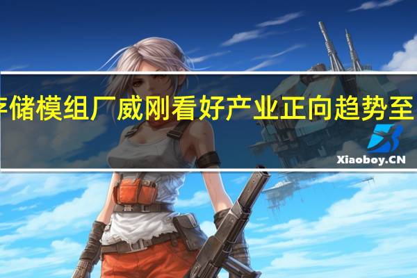 存储模组厂威刚看好产业正向趋势至明年Q3