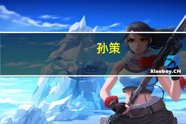 孙策（关于孙策的介绍）