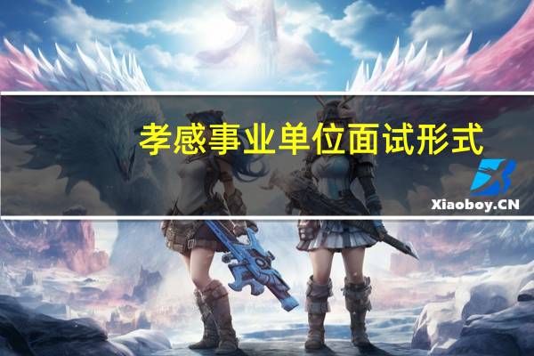 孝感事业单位面试形式