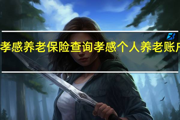 孝感养老保险查询 孝感个人养老账户多少