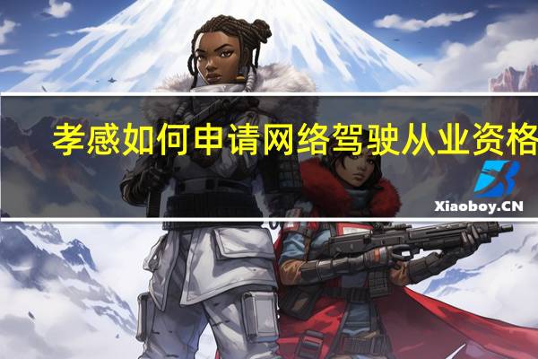 孝感如何申请网络驾驶从业资格证