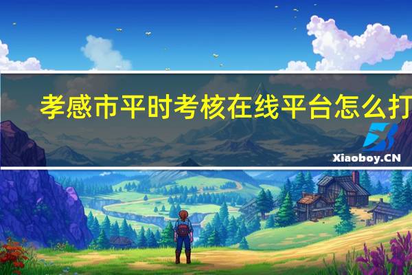 孝感市平时考核在线平台怎么打开（孝感市平时考核在线平台）