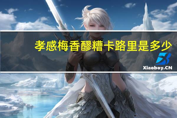 孝感梅香醪糟卡路里是多少