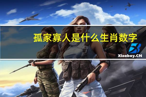 孤家寡人是什么生肖数字（孤家寡人是什么生肖）