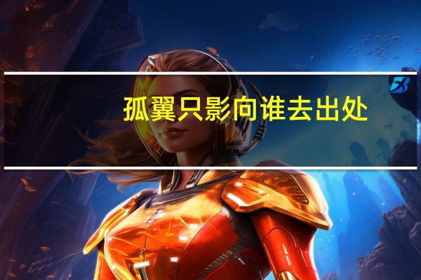 孤翼只影向谁去出处