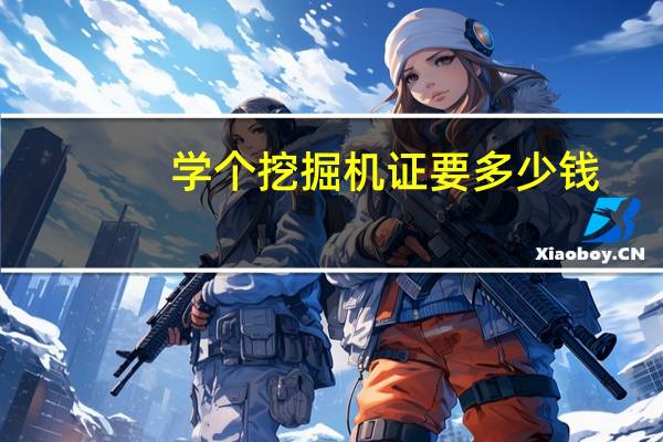 学个挖掘机证要多少钱