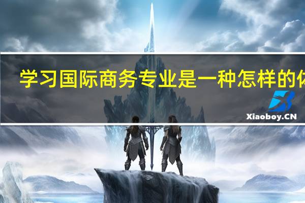 学习国际商务专业是一种怎样的体验