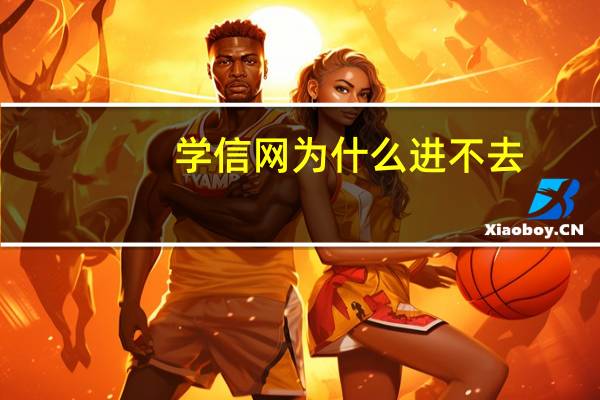 学信网为什么进不去
