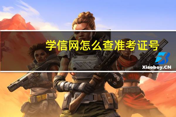 学信网怎么查准考证号