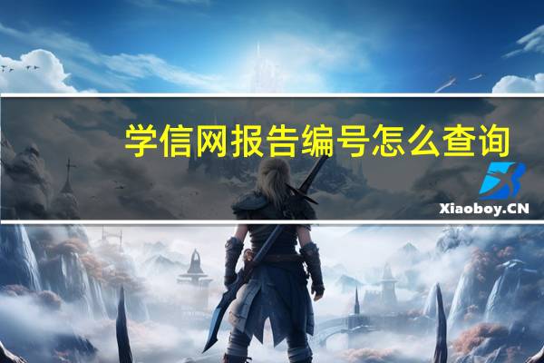 学信网报告编号怎么查询