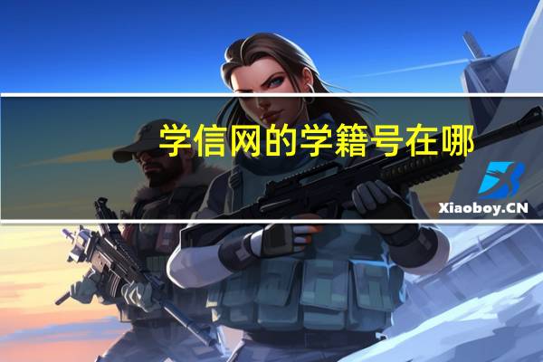 学信网的学籍号在哪