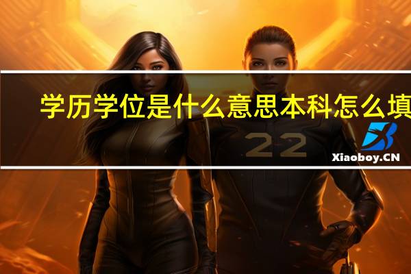 学历学位是什么意思本科怎么填呢