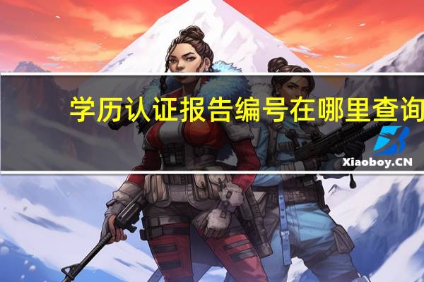 学历认证报告编号在哪里查询