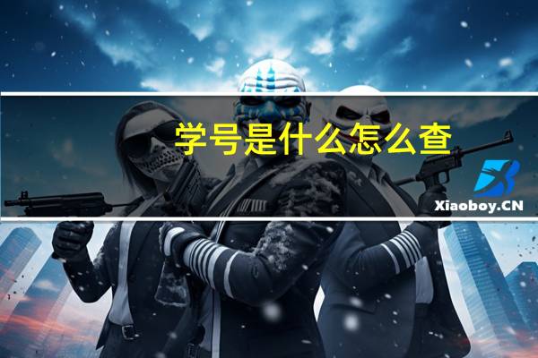 学号是什么怎么查（学号）
