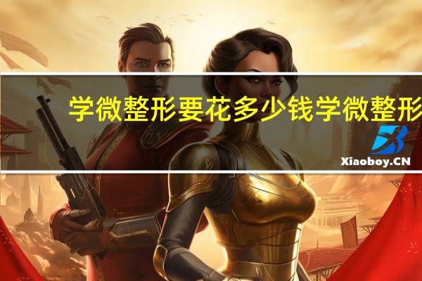 学微整形要花多少钱 学微整形一般学费多少