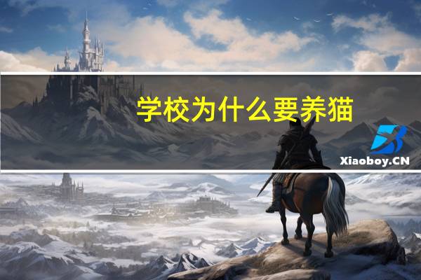 学校为什么要养猫