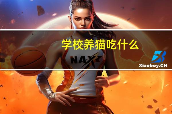 学校养猫吃什么