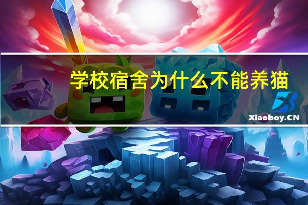 学校宿舍为什么不能养猫