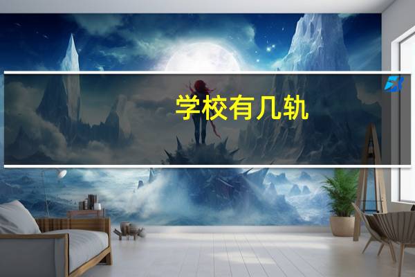 学校有几轨