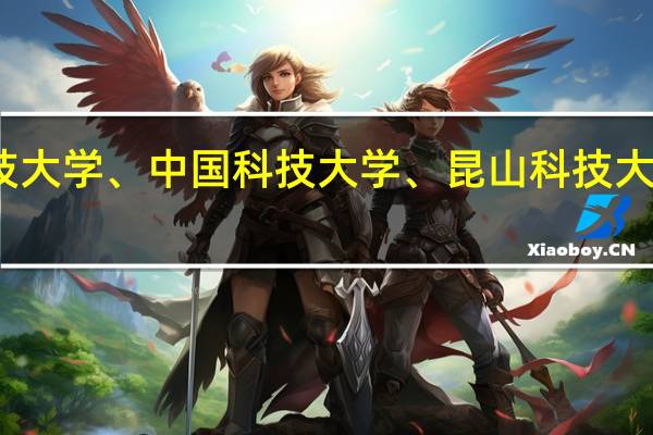 学校有到台湾树德科技大学、中国科技大学、昆山科技大学、国立金门大学的交换生。这些学校都怎么样
