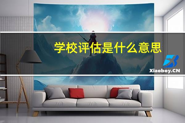 学校评估是什么意思