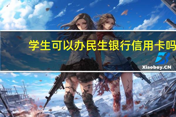 学生可以办民生银行信用卡吗