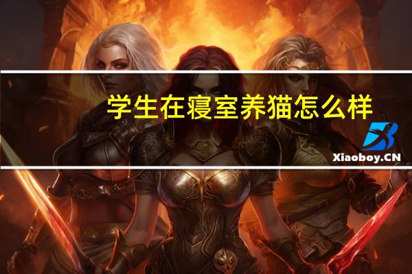 学生在寝室养猫怎么样