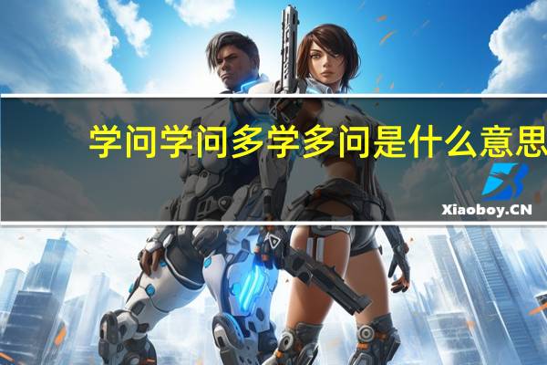 学问学问多学多问是什么意思