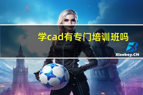 学cad有专门培训班吗