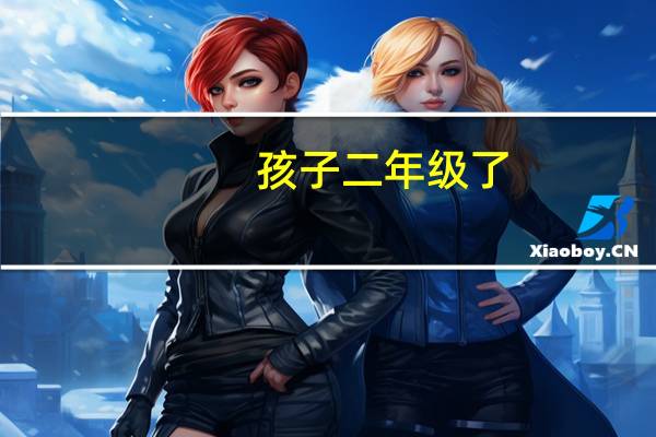 孩子二年级了，我应该给他准备什么本子呢