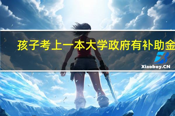 孩子考上一本大学政府有补助金吗