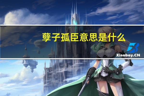 孽子孤臣意思是什么