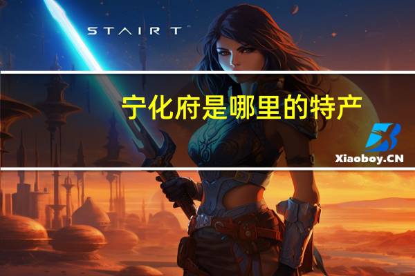 宁化府是哪里的特产