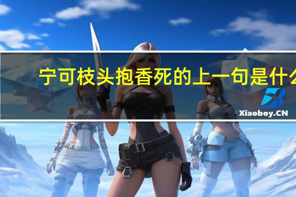 宁可枝头抱香死的上一句是什么