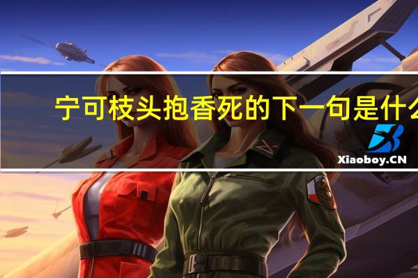 宁可枝头抱香死的下一句是什么