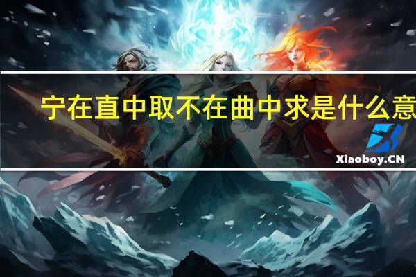 宁在直中取不在曲中求是什么意思