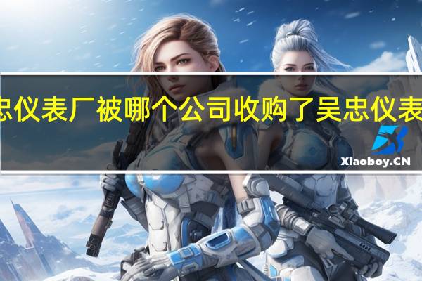 宁夏吴忠仪表厂被哪个公司收购了 吴忠仪表有限责任公司