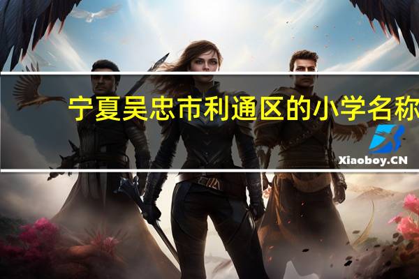 宁夏吴忠市利通区的小学名称，要全部的名字，回答了继续加分