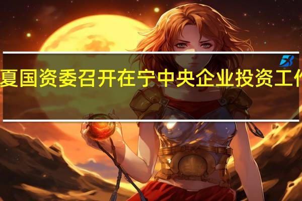 宁夏国资委召开在宁中央企业投资工作座谈会