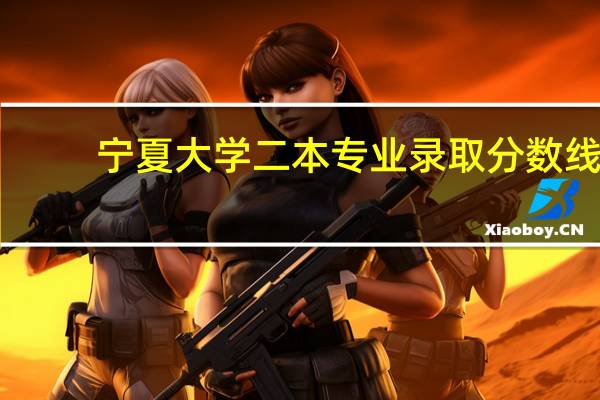宁夏大学二本专业录取分数线